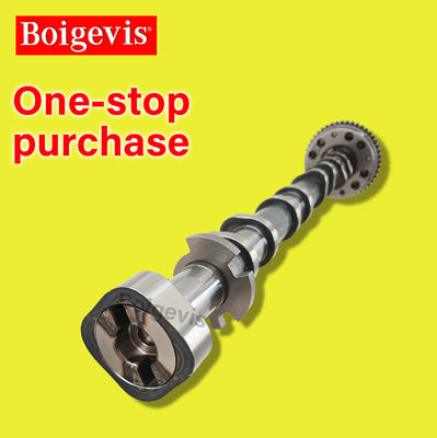 Shanghai Volkswagen Lingdu 2015-2022 İçe alma kamşaftı 06J109022AG