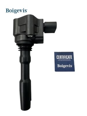 079905110J VW AUDI A6 VAG SEAT SKODA BENTLEY için ateşleme bobini